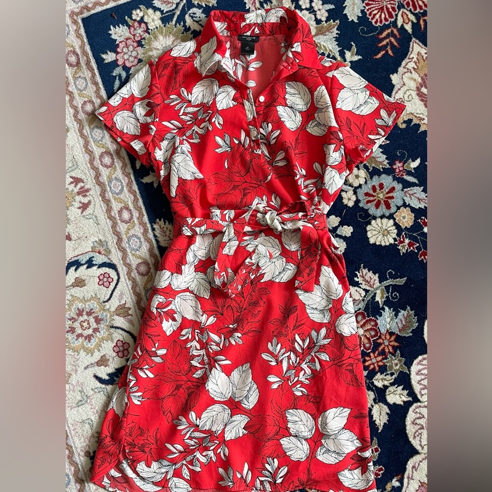 Ann Taylor petite small red and white floral mini dress, belted
